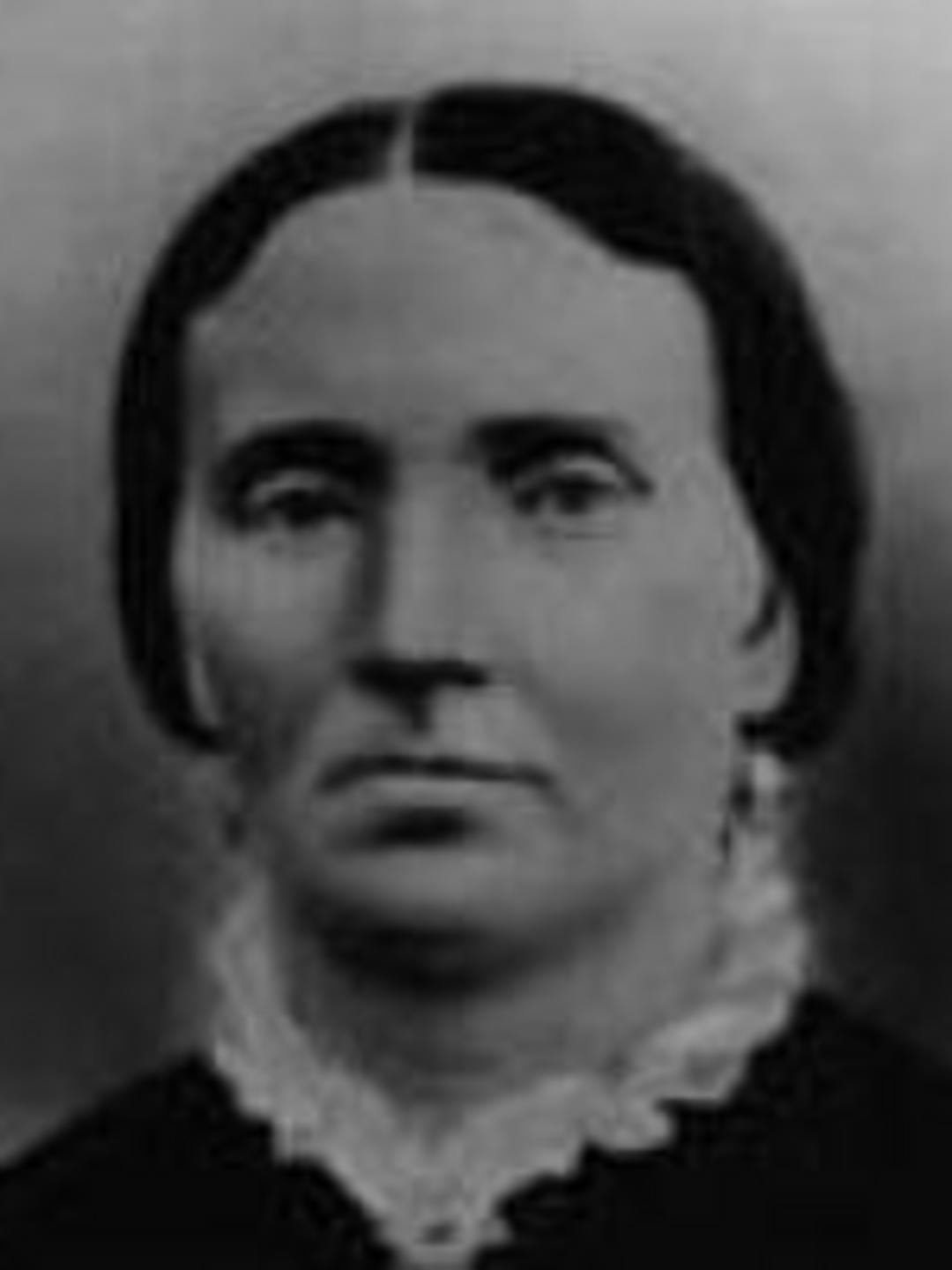 Elizabeth Anderton (1828 - 1900) Profile